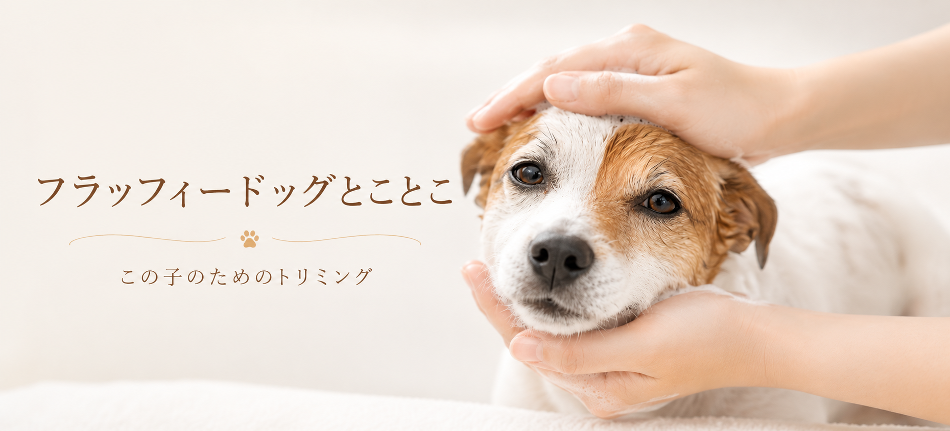 安心した表情のワンちゃんを女性の手がやさしく洗う様子